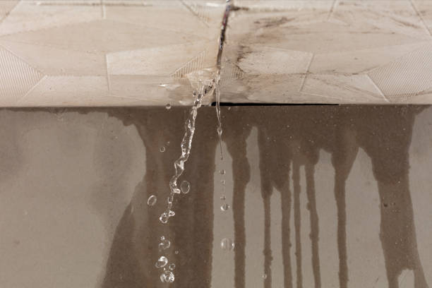 Professional Burst Pipe Cleanup technician working in Kingsland, GA